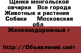 Щенки монгольской овчарки - Все города Животные и растения » Собаки   . Московская обл.,Железнодорожный г.